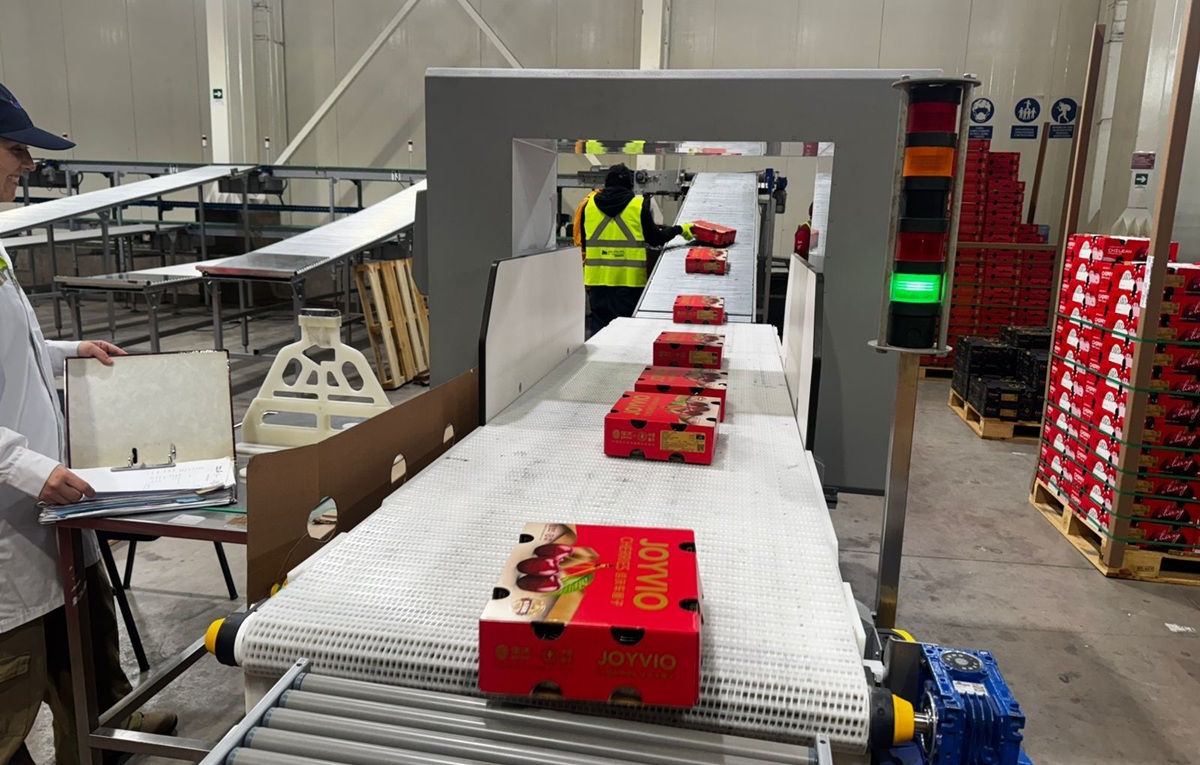 Verfrut es certificada por la DGAC para enviar fruta fresca por vía aérea a EE.UU. y China 3 Verfrut es certificada por la DGAC para enviar fruta fresca por vía aérea a EE.UU. y China