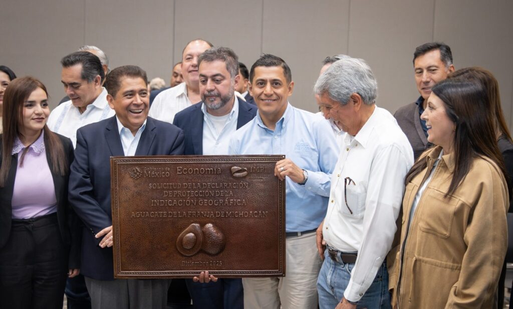 Michoacán inicia proceso para obtener la indicación geográfica de su aguacate