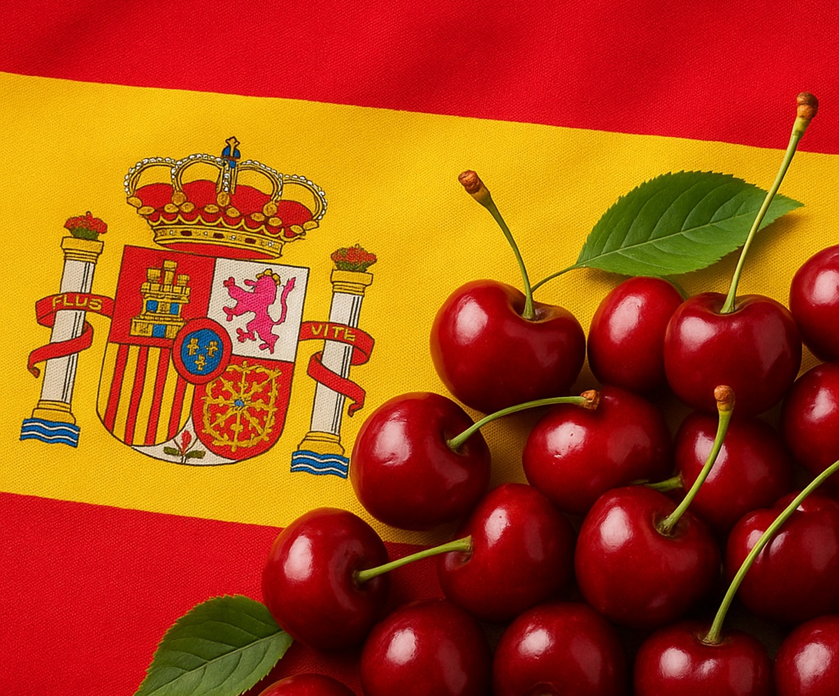 FEPEX destaca una campaña 2025 positiva para la cereza española y proyecta promoción en China
