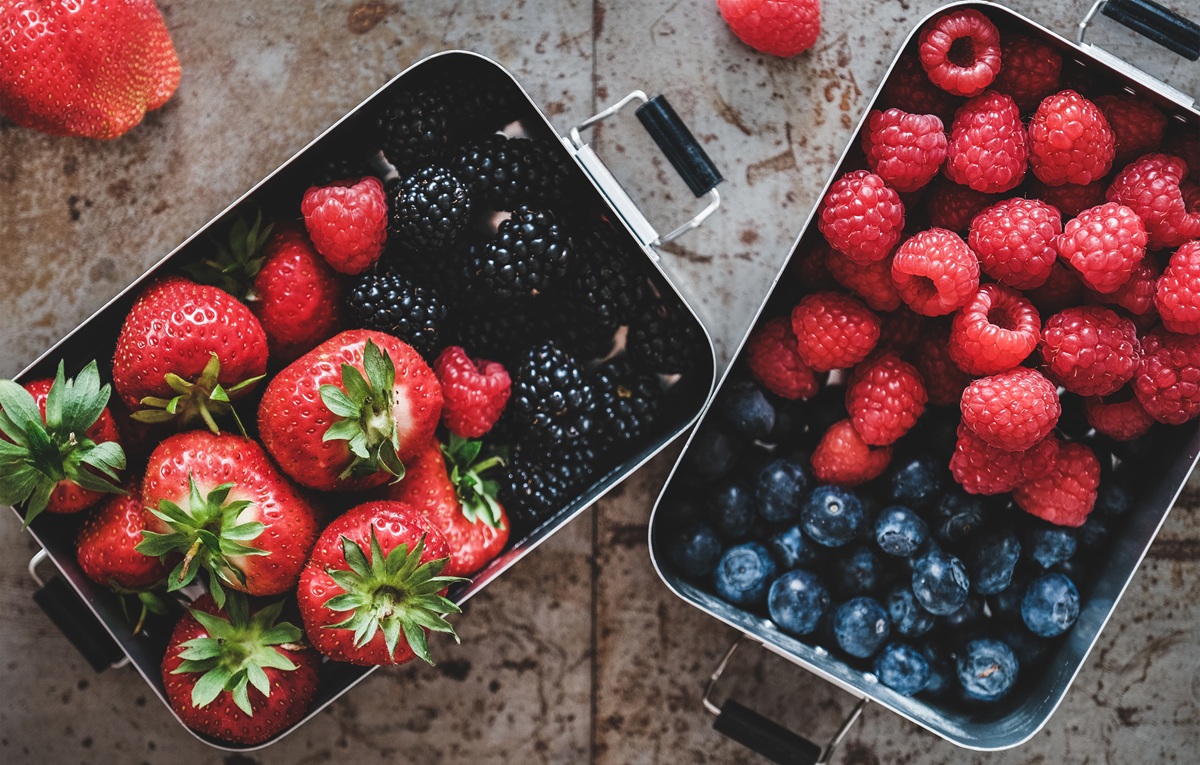 Industria de berries en México avanza hacia certificación laboral para exportaciones