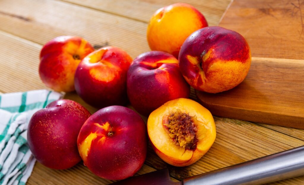 Exportaciones de carozos de Chile crecerían 12% en la temporada 2025-2026