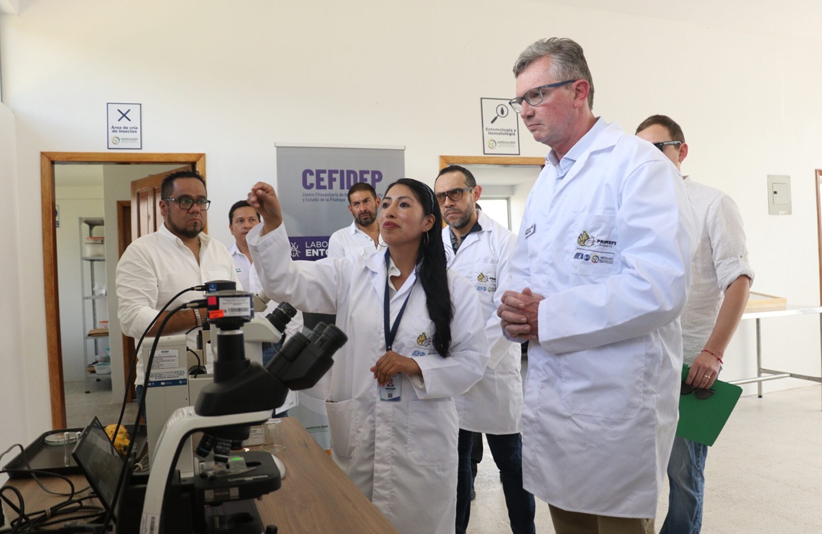 Ecuador recupera el acceso al mercado peruano para la pitahaya