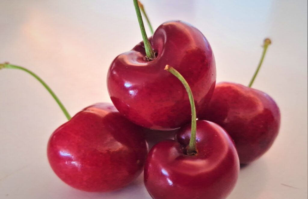 INIA impulsa dos proyectos para mejorar la competitividad del cerezo en Chile