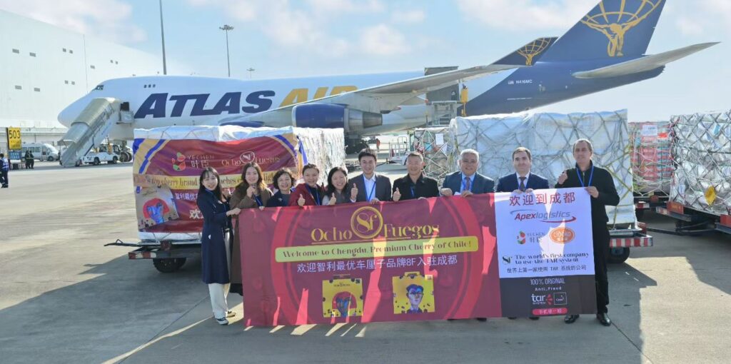 Sistema pionero evita la adulteración en envíos de cerezas chilenas a China