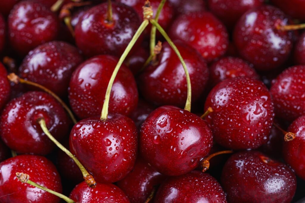 Consumo de cerezas en la Unión Europea crece 4,5% y alcanza su mayor nivel en una década