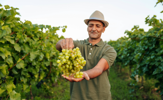 5 tendencias globales de compra que darán forma al negocio de frutas y hortalizas en 2026