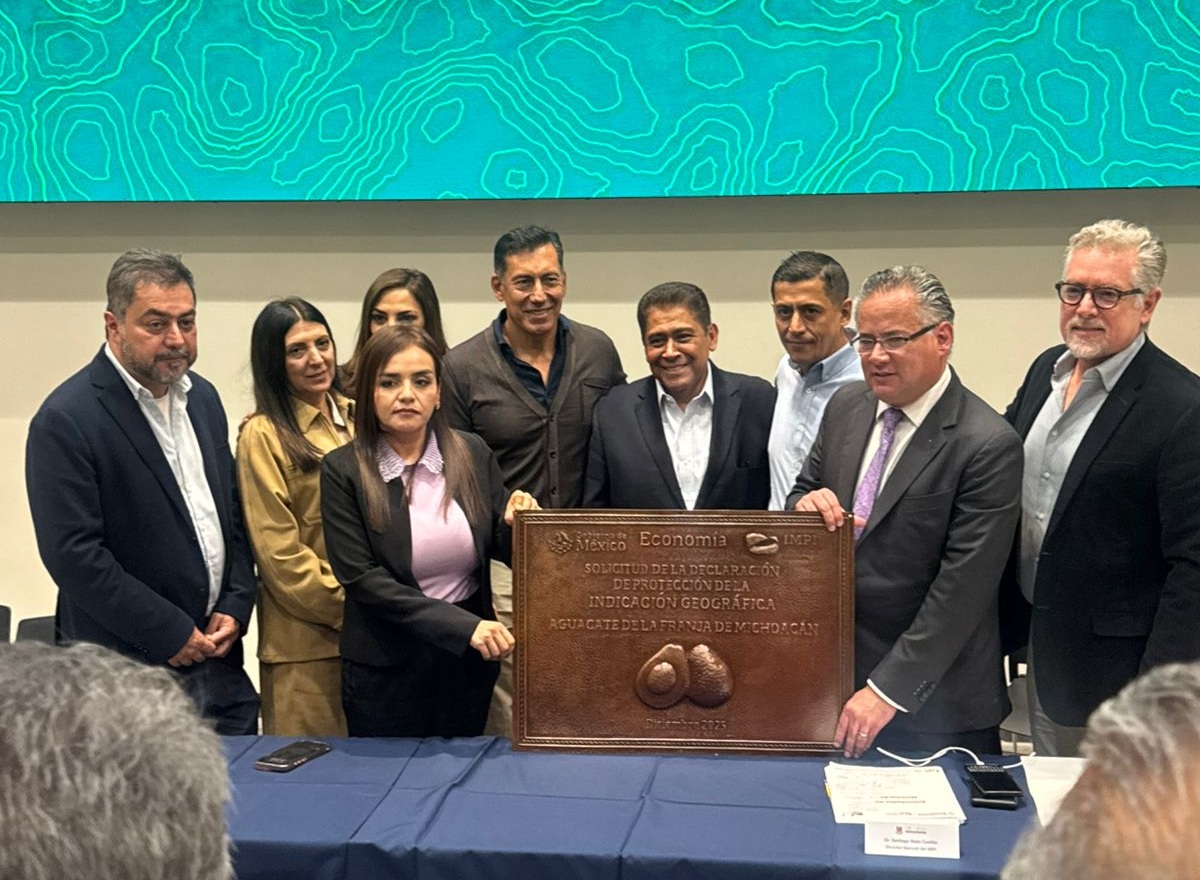 Michoacán inicia proceso para obtener la indicación geográfica de su aguacate 5 Michoacán inicia proceso para obtener la indicación geográfica de su aguacate