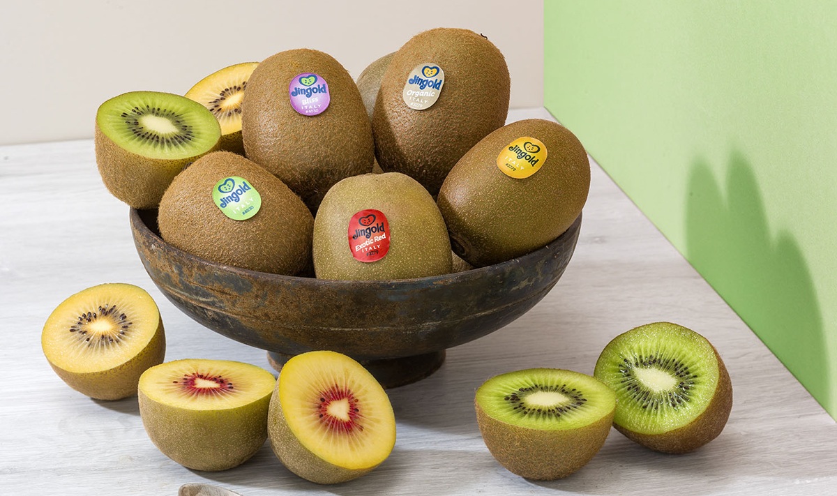 Jingold refuerza su posicionamiento en España con la nueva producción local de kiwi amarillo Jintao