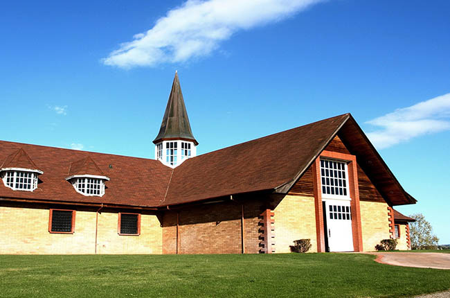 Crisis de precios del limón reduce en un 20% los ingresos de Limoneira mientras la empresa gira hacia el aguacate