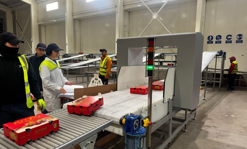 Verfrut es certificada por la DGAC para enviar fruta fresca por vía aérea a EE.UU. y China 