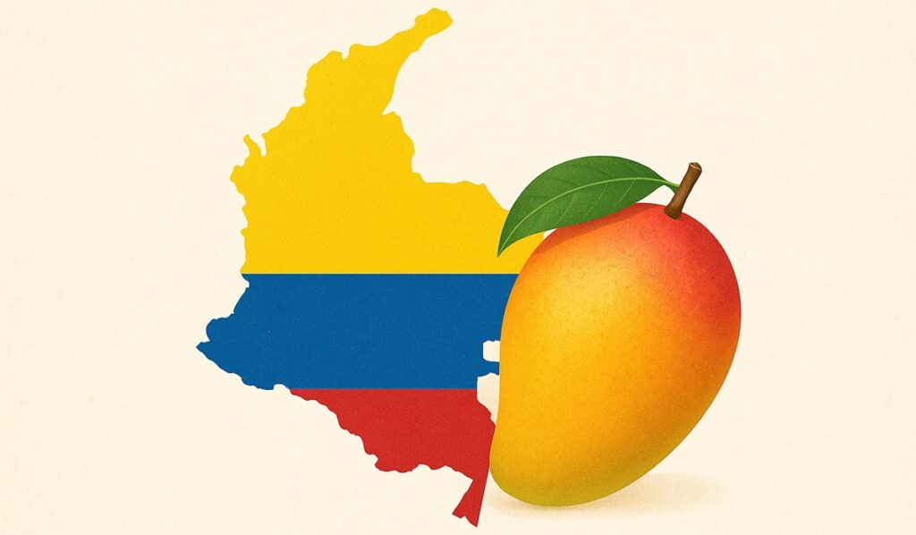 El mango colombiano busca su propia marca de calidad