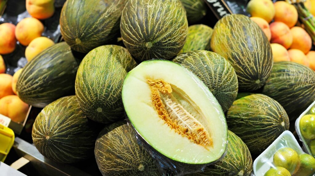Exportaciones brasileñas de melón muestran sólido crecimiento en 2025