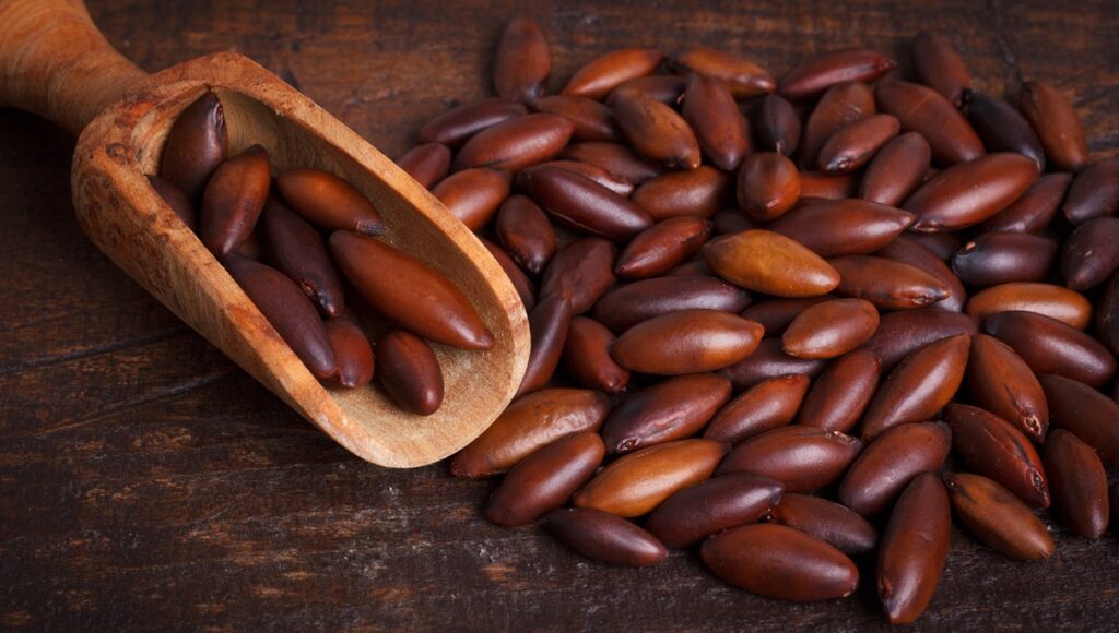 Brasil amplía exportaciones agropecuarias con nuevos acuerdos sanitarios en Asia y Eurasia