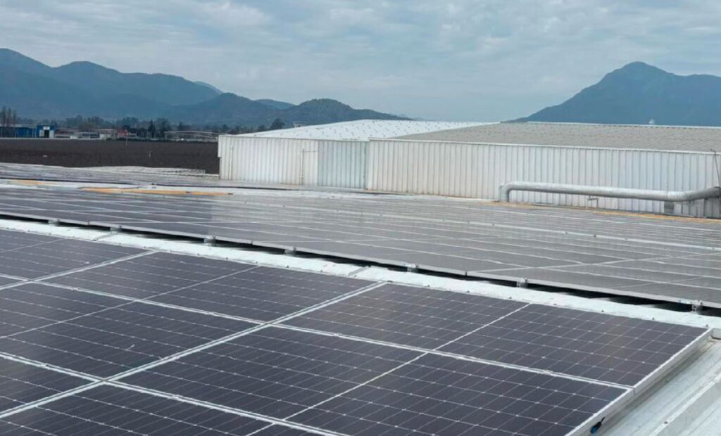 Garces Fruit avanza en energía limpia con la puesta en marcha de la planta fotovoltaica de Mostazal
