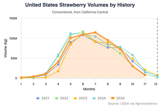 La escasez de frutillas en Estados Unidos deja estantes vacíos y precios al alza 3 La escasez de frutillas en Estados Unidos deja estantes vacíos y precios al alza