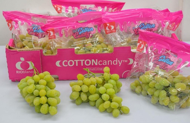 RIOblanco inicia la temporada de uva de mesa con foco en calidad, calibre y logística