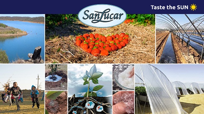 SanLucar: gestión del agua en armonía con las personas y la naturaleza 3 SanLucar: gestión del agua en armonía con las personas y la naturaleza