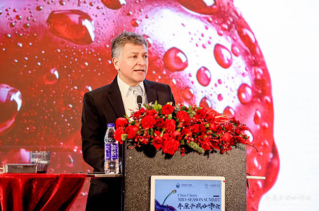 Gustavo Yentzen, presidente del directorio de Yentzen Group