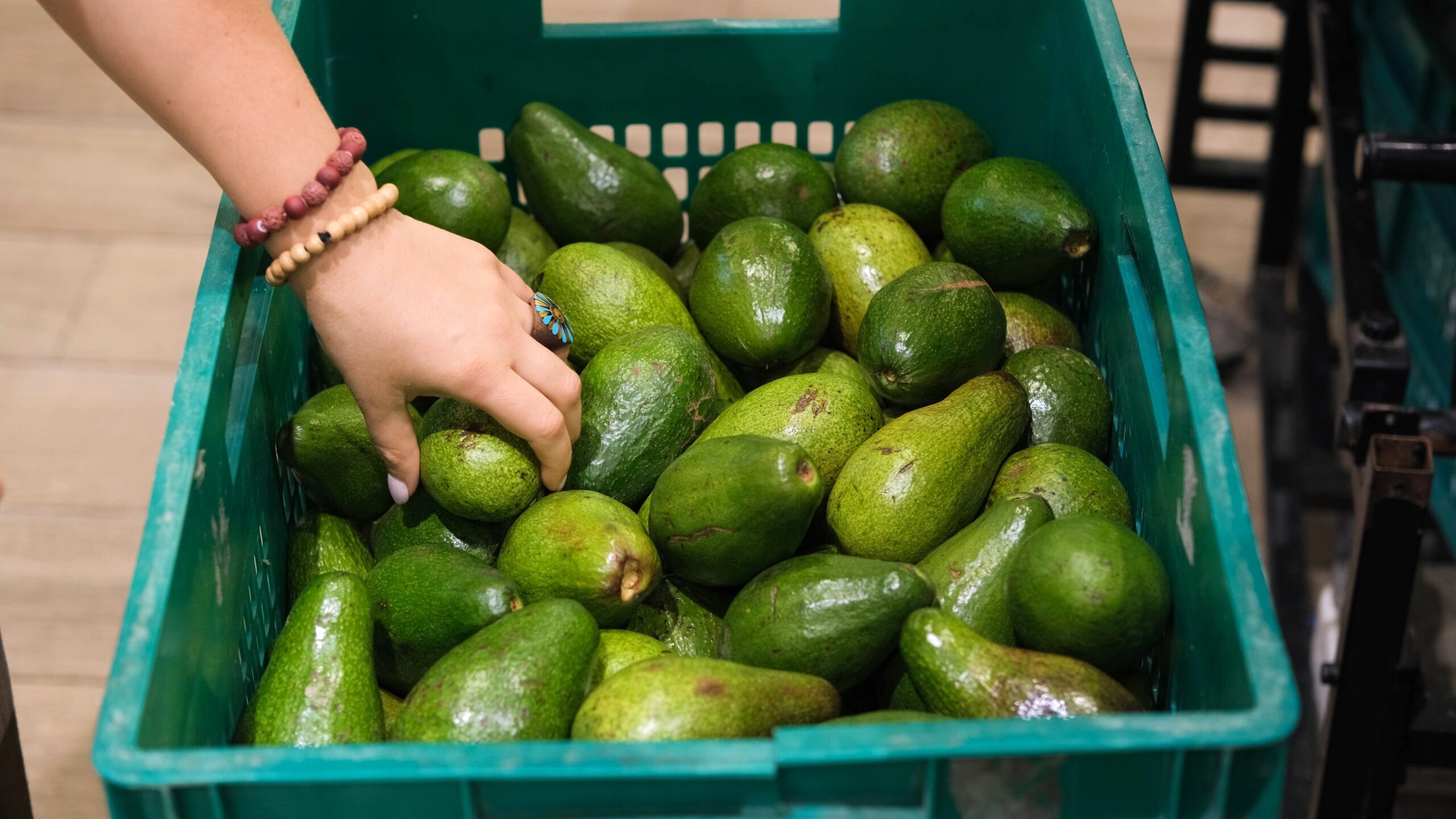  Avocados-From-Mexico-avocado-in-shopping-cart