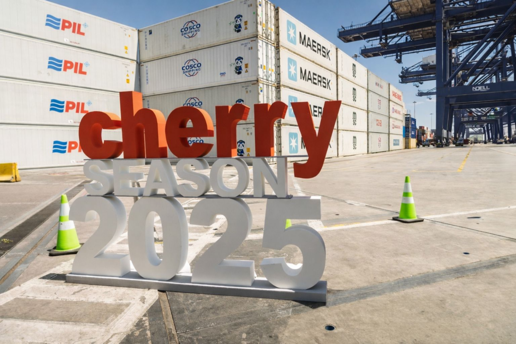 San Antonio Terminal Internacional finaliza exitosa temporada de exportación de cerezas 2025 con alza de 17% en envíos