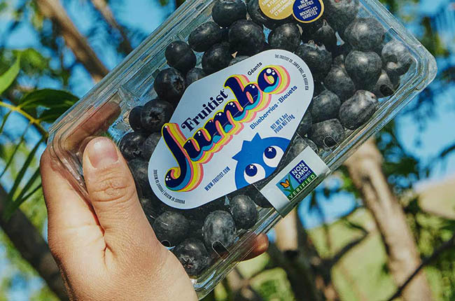 Fruitist asegura inversión de USD $150 millones para expansión global