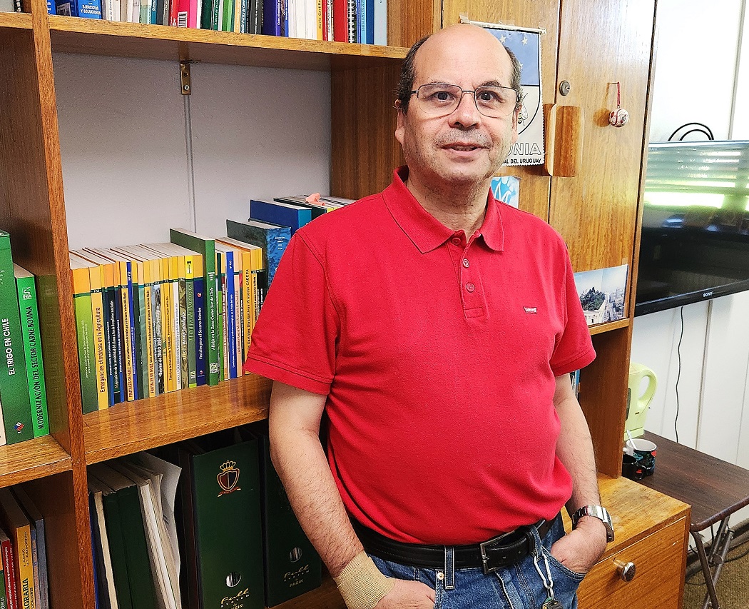 Cerezas chilenas: una temporada compleja en producción y comercialización