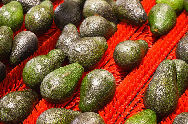 Aguacate de Mission Produce