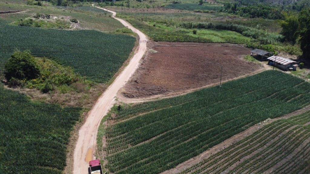 Segrafruit busca consolidar su presencia en América Latina con nuevas oficinas comerciales