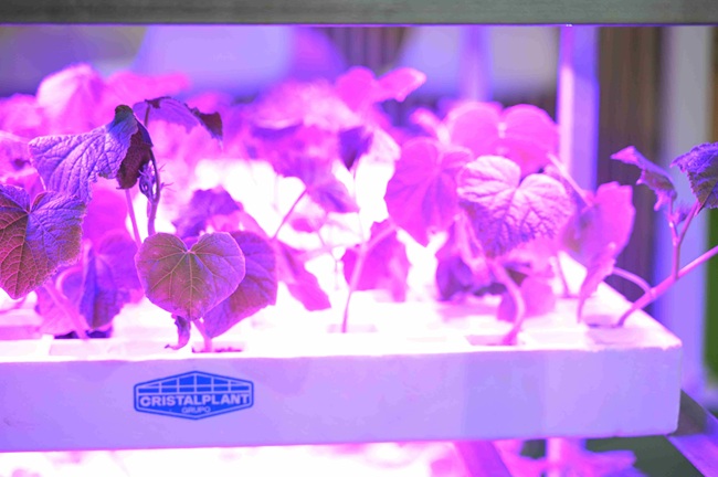 Expo AgriTech: 10 claves que definirán el sector agrícola en 2026