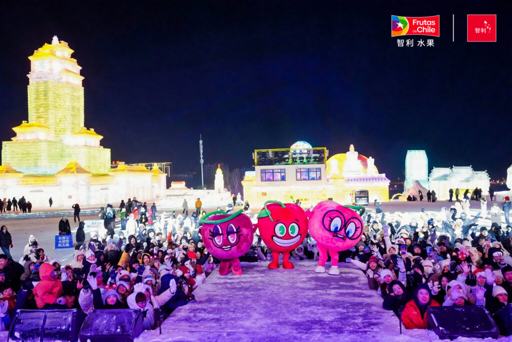 Ice and Snow Festival: la ofensiva con la que las cerezas chilenas buscan mantener su liderazgo en China