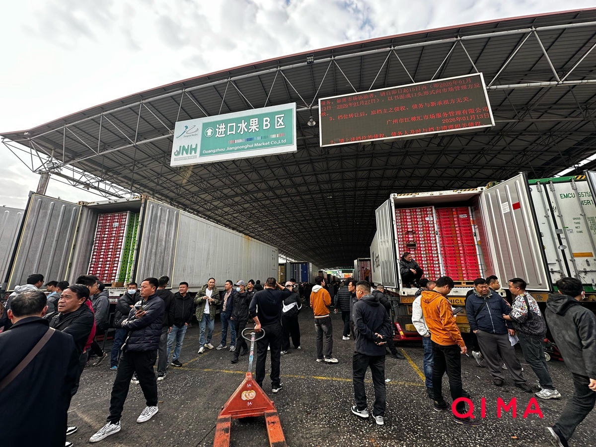 Cerezas chilenas en China: buena calidad, pero un mercado marcado por la incertidumbre