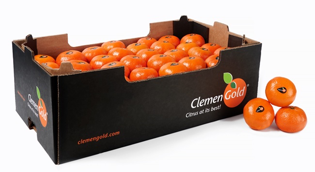 Bollo y ClemenGold se unen para asegurar el suministro de mandarinas premium todo el año en Europa 3 Bollo y ClemenGold se unen para asegurar el suministro de mandarinas premium todo el año en Europa