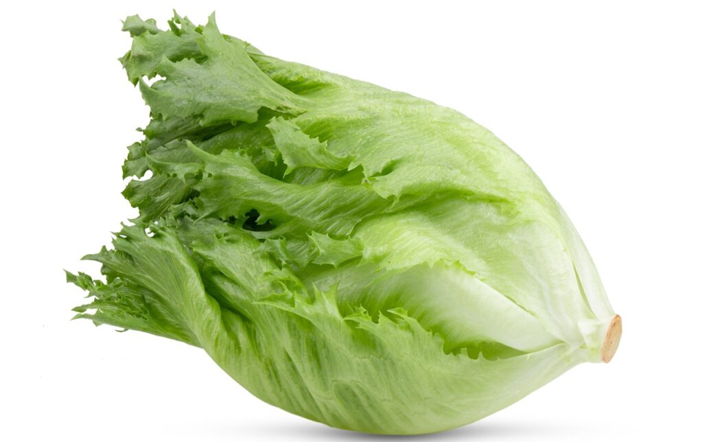 Genética de postcosecha actúa como seguro para productores e industrias de vegetales