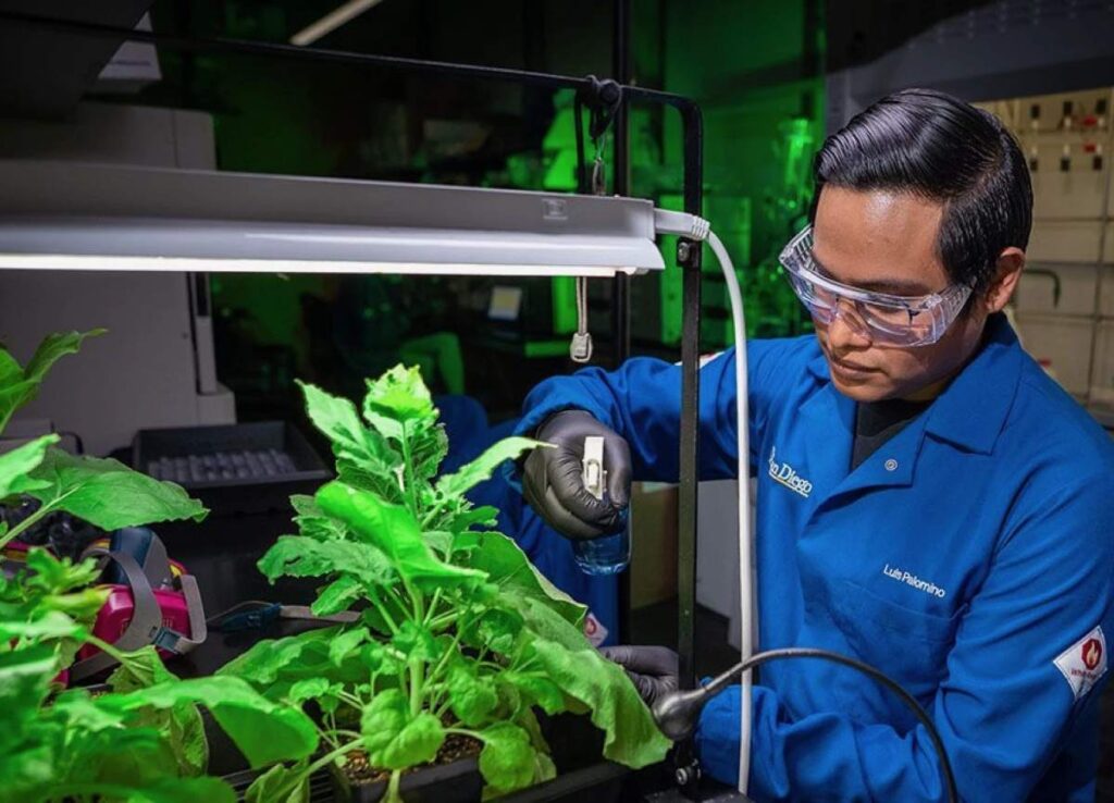 spray actibacteriano