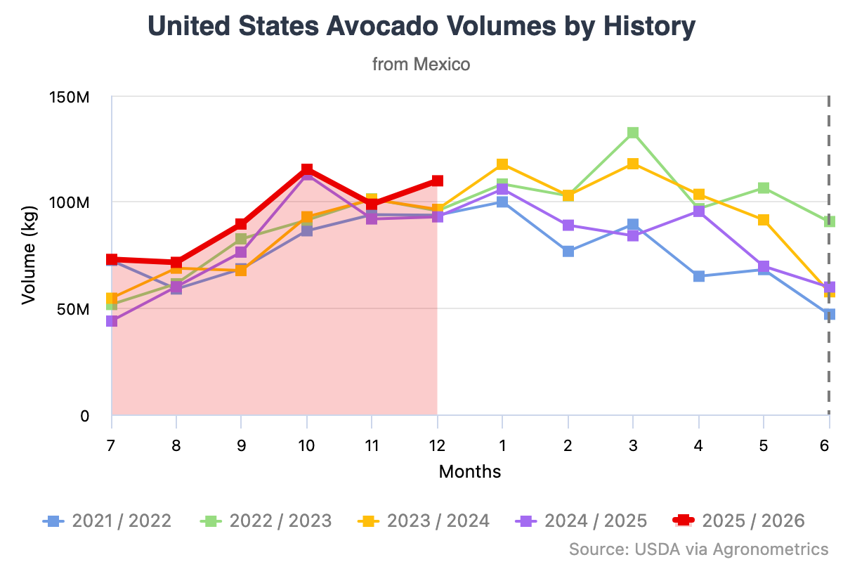 temporada de aguacates Mexico