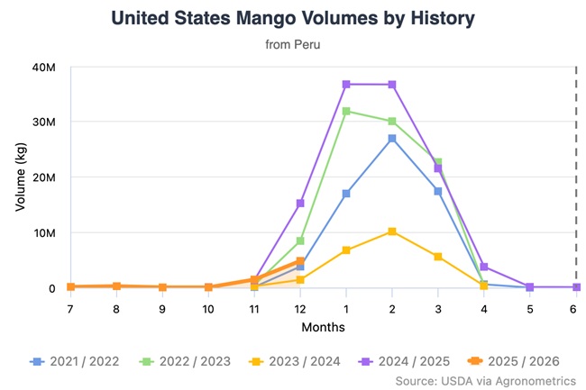 La industria del mango de Piura bajo presión ante el deterioro de las condiciones de mercado