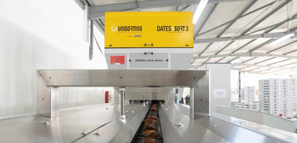 UNITEC presenta soluciones innovadoras de clasificación para optimizar el procesamiento de dátiles