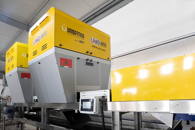 UNITEC presenta soluciones innovadoras de clasificación para optimizar el procesamiento de dátiles