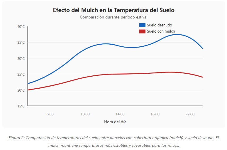 enfermedades radiculares