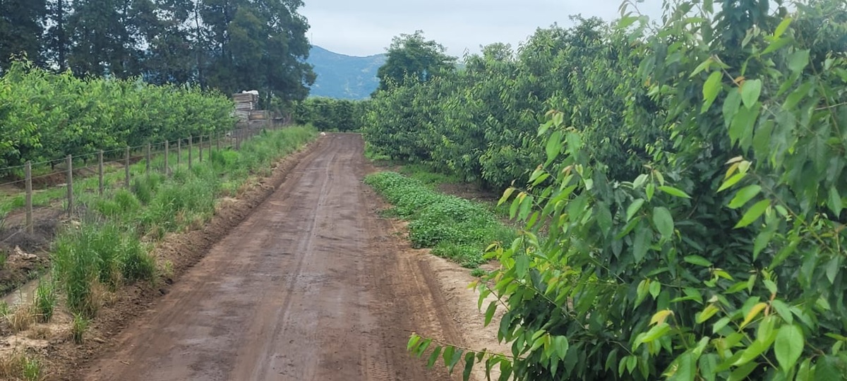 SVCorp: cómo la creatividad chilena está cambiando el agro desde sus caminos