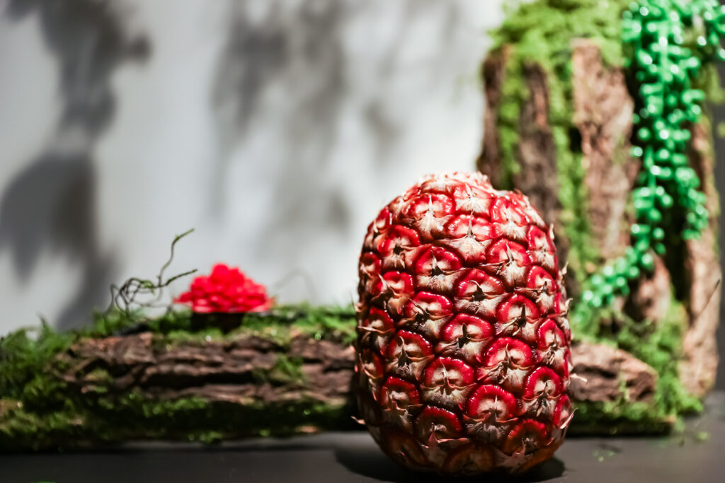 Fresh Del Monte eleva el estándar con un portafolio de piñas únicas en su tipo