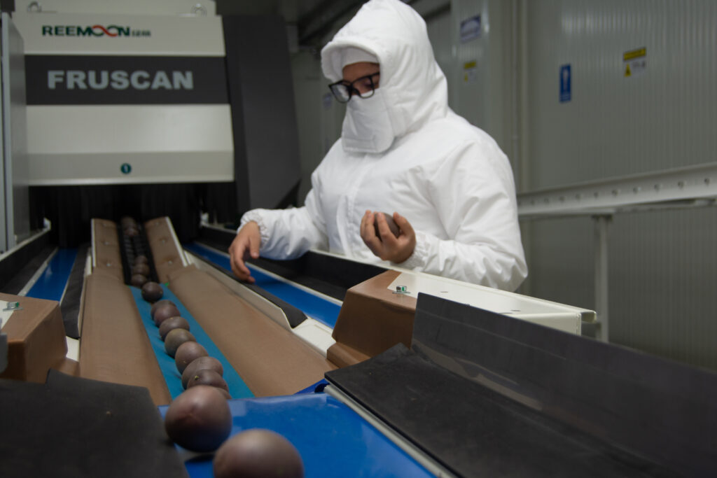 Colombia proyecta aumentar exportaciones de pasifloras al 10% con producción más sustentable