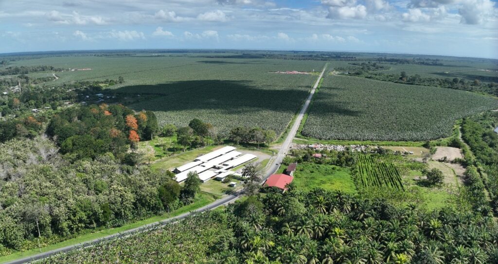 Comunidades del Caribe mejoran su infraestructura vial y drenajes con aporte de la industria bananera