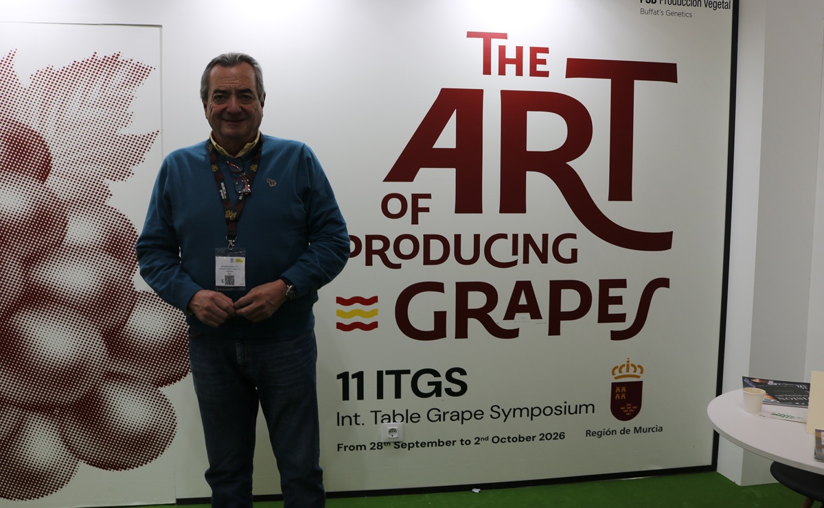 Murcia albergará el XI International Table Grape Symposium con fuerte foco técnico y comercial