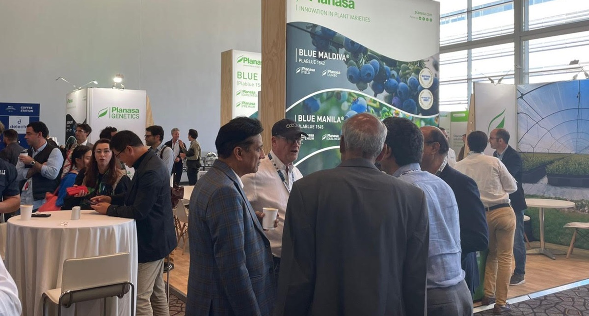 Networking at 2025 IBO Summit in South Africa