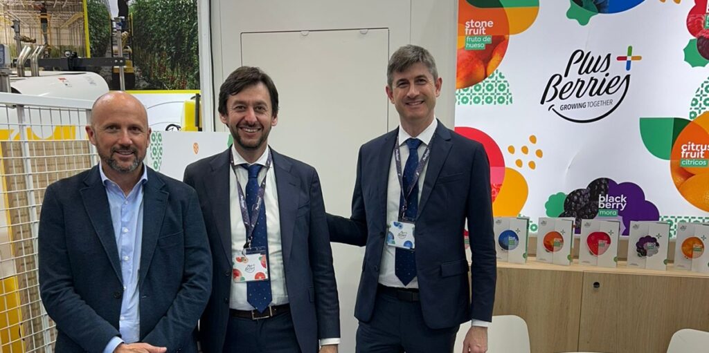 Plus Berries llega a Fruit Logistica 2026 en uno de los momentos más dinámicos de su calendario frutícola