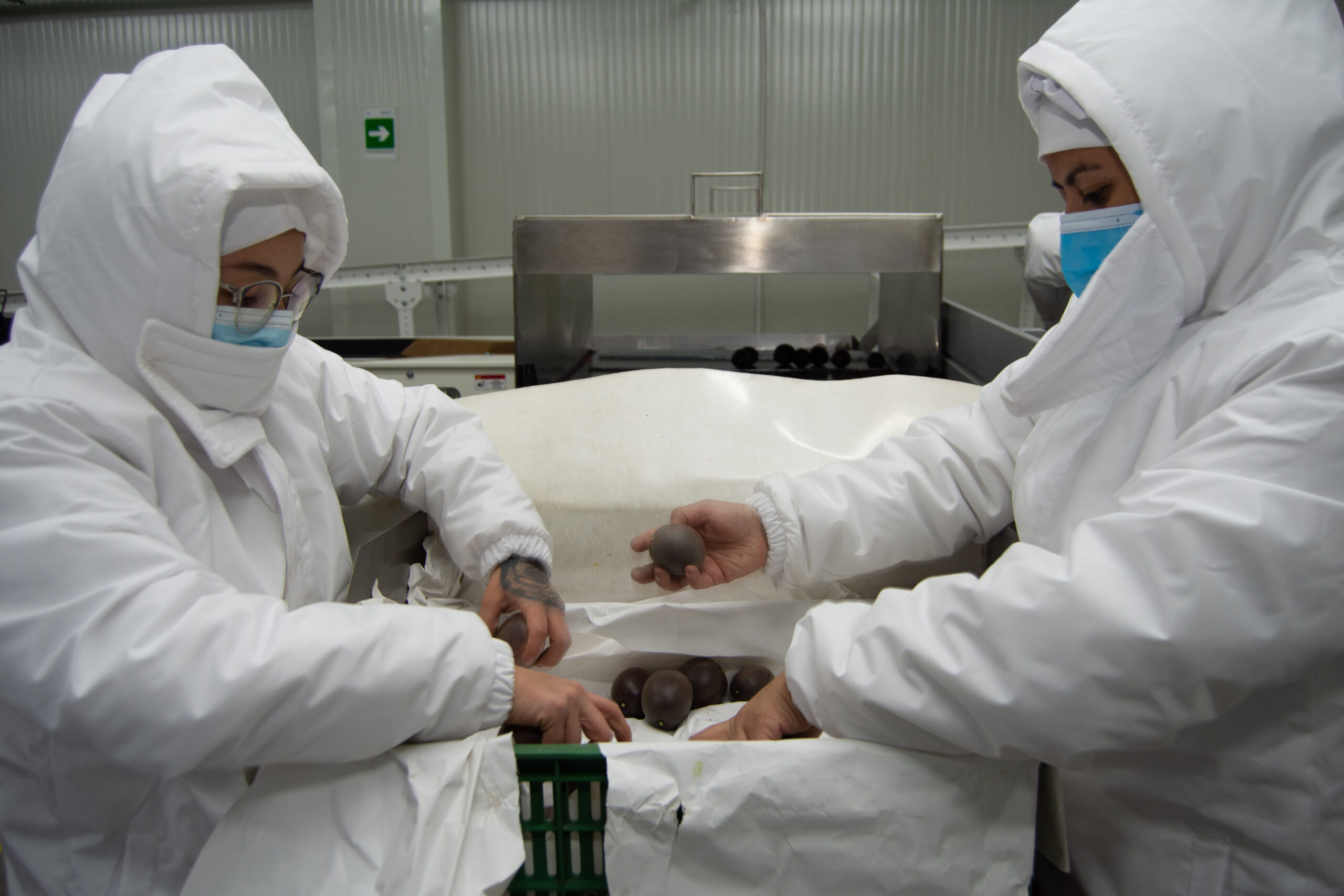 Exportación de pasifloras desde Colombia