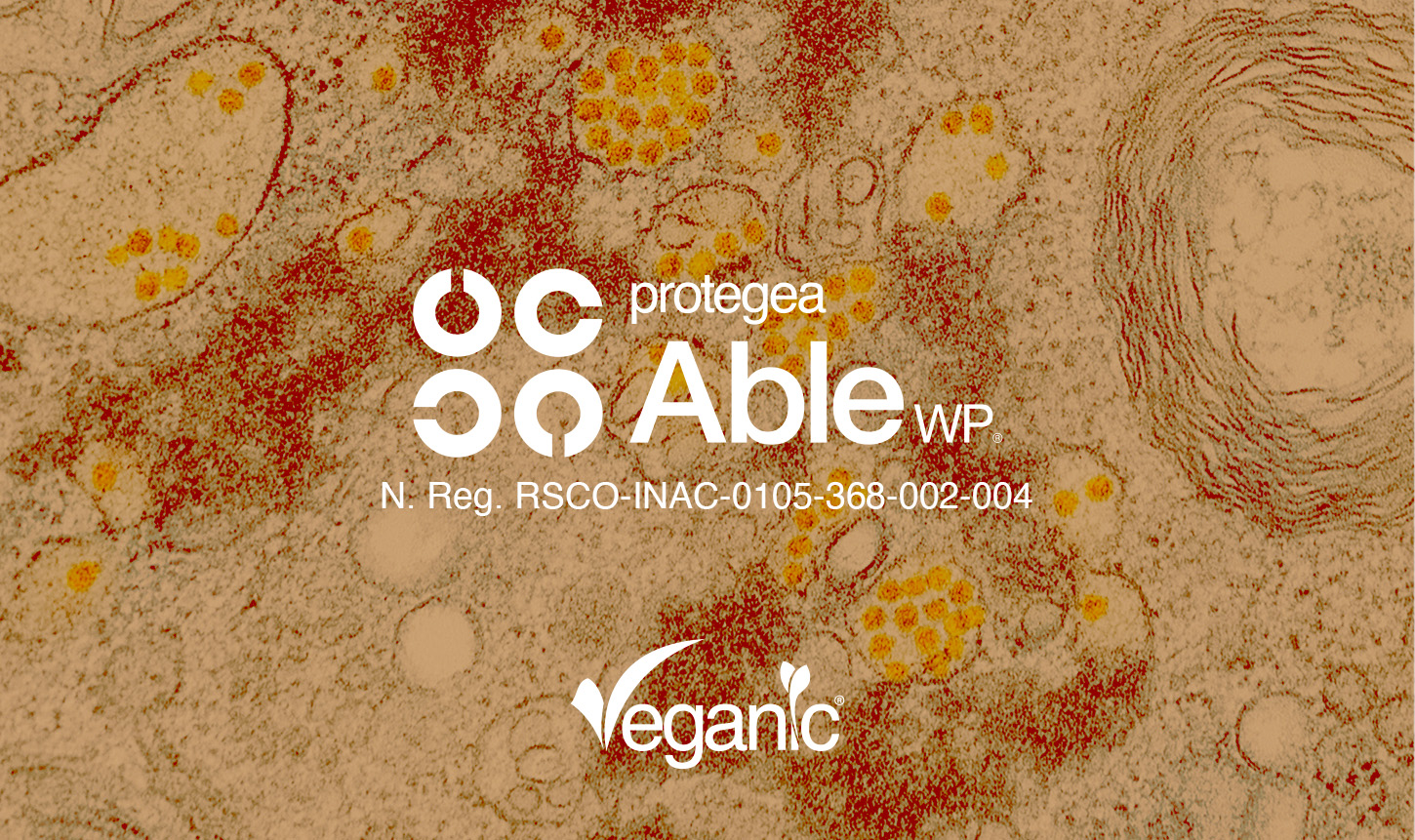 Veganic impulsa su crecimiento en México con tres biosoluciones de alto impacto 5 Veganic impulsa su crecimiento en México con tres biosoluciones de alto impacto