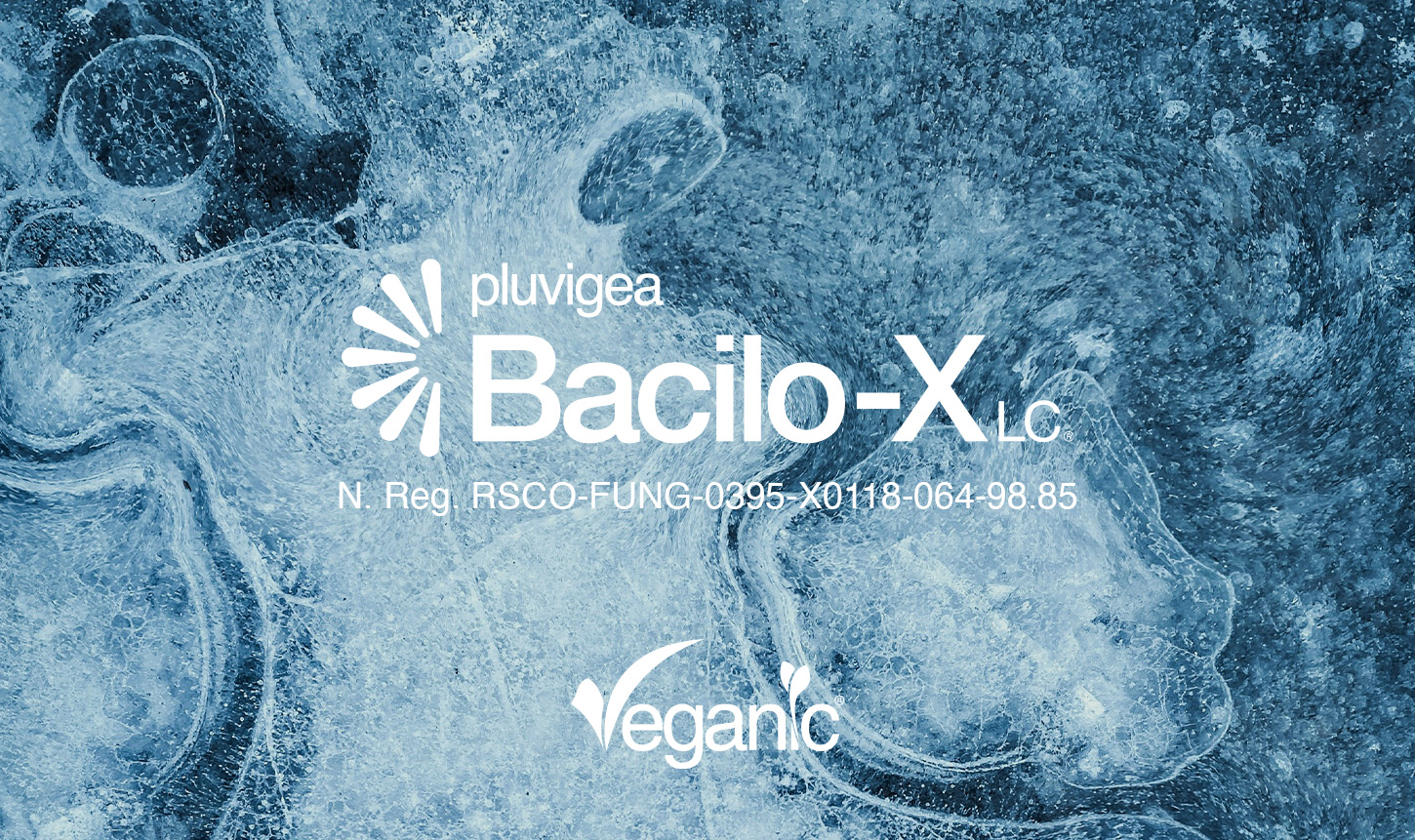 Veganic impulsa su crecimiento en México con tres biosoluciones de alto impacto 2 Veganic impulsa su crecimiento en México con tres biosoluciones de alto impacto