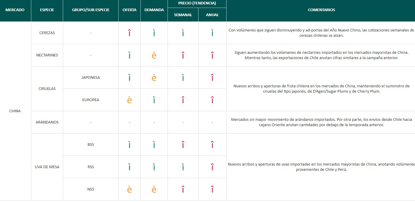 Estado del Mercado - semana 7: Buen movimiento para la oferta de uva de mesa peruana y chilena en México 8 Estado del Mercado - semana 7: Buen movimiento para la oferta de uva de mesa peruana y chilena en México